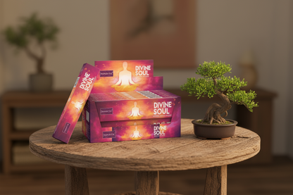 Nandita Esoteric Series Divine Soul Incense Sticks - Box of 12 (180 gms)