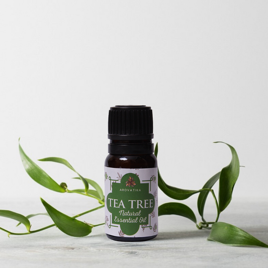 Arovatika Natural Essential Oil- Tea Tree  10 ml World of Incense Australia New Age Products Incense Sticks